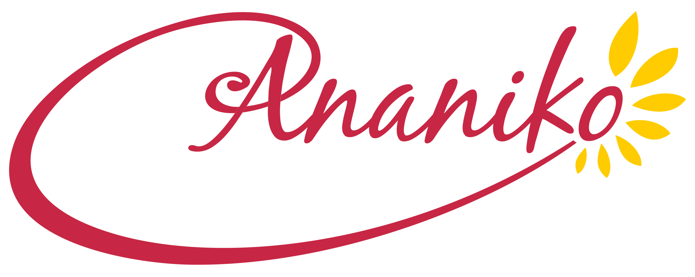 Ananiko logo